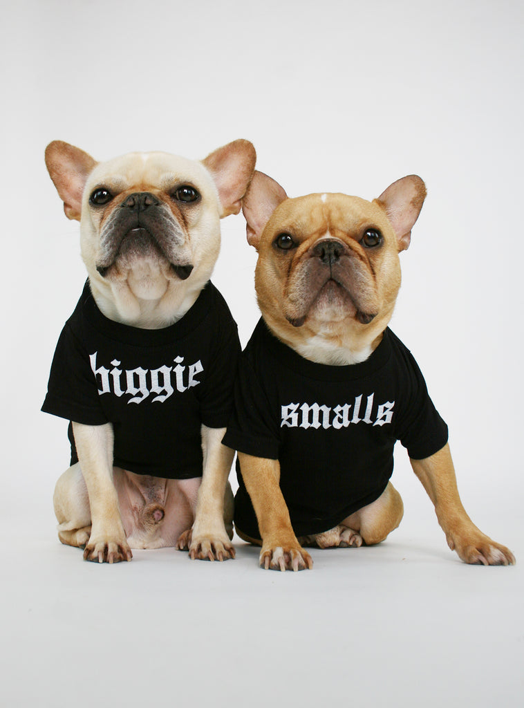 Biggie Smalls (2-Pack) Dog Tee – Club Huey