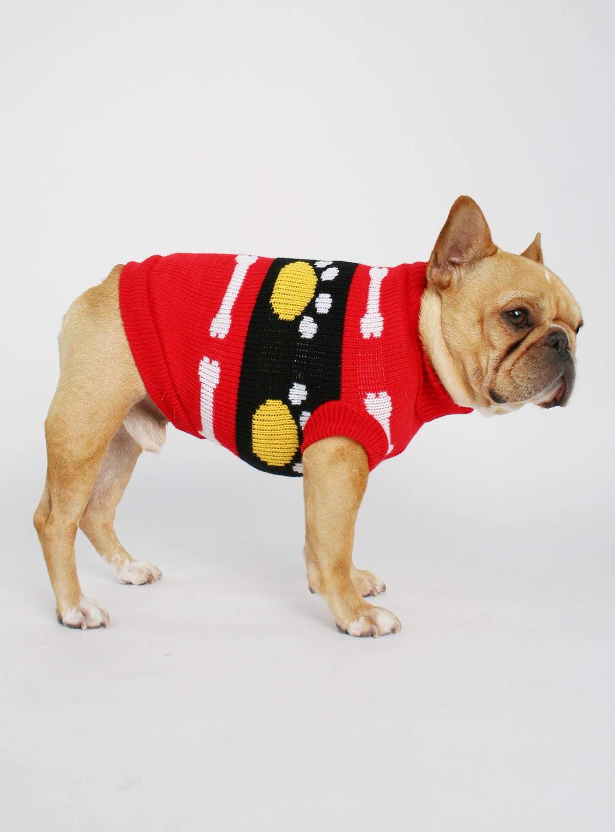 Fetch Dog Sweater - Club Huey