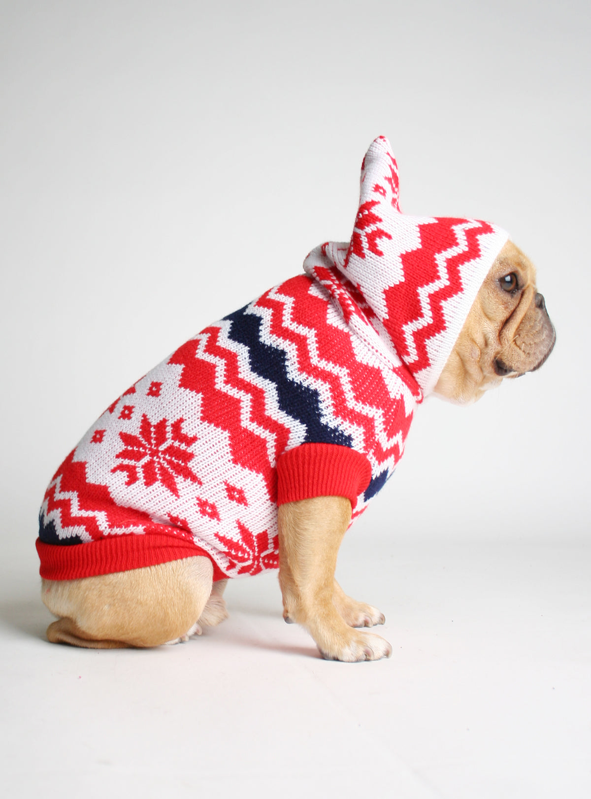 Fetch Dog Sweater - Club Huey