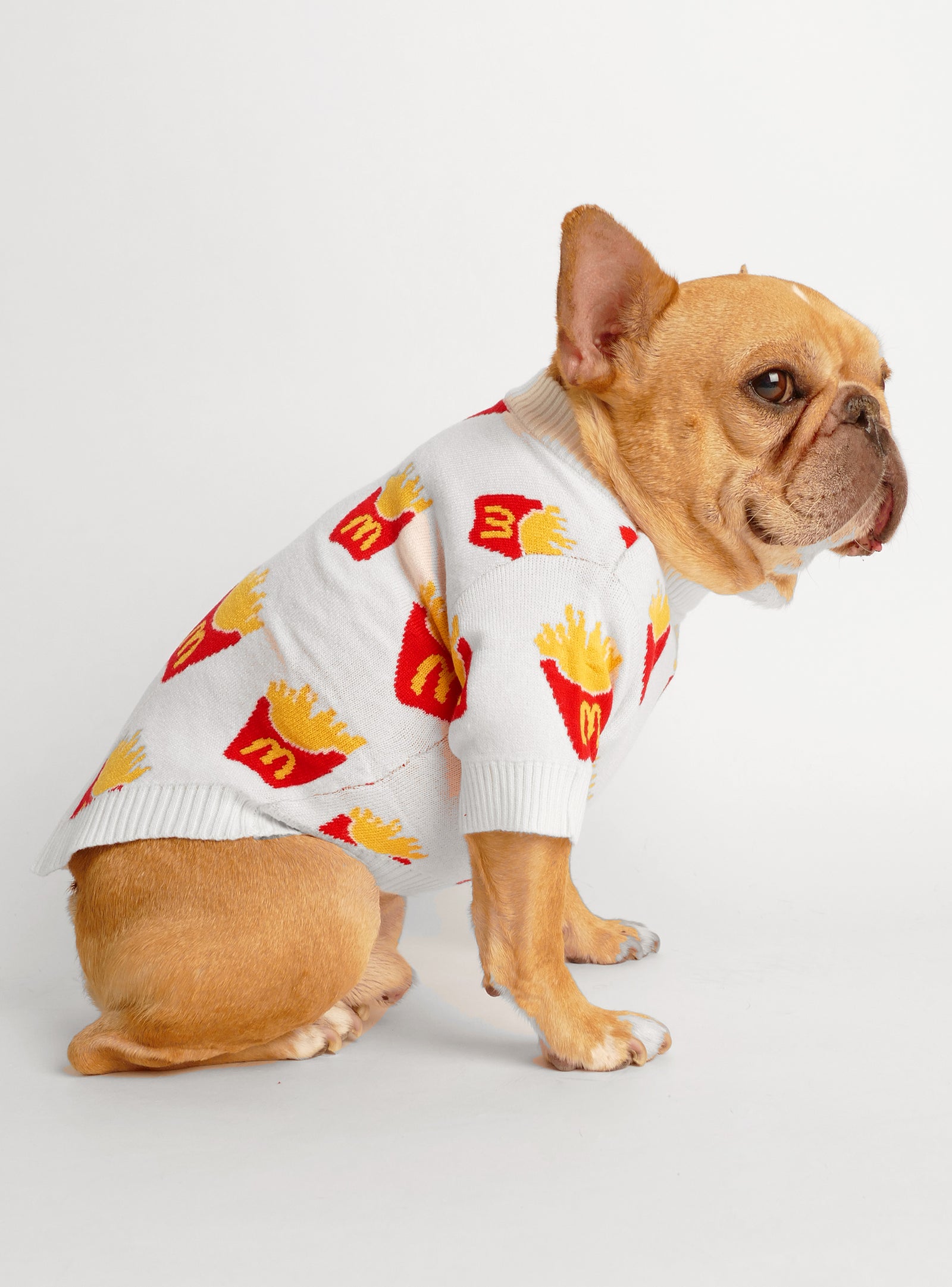 Apple Cider Dog Sweater - Club Huey