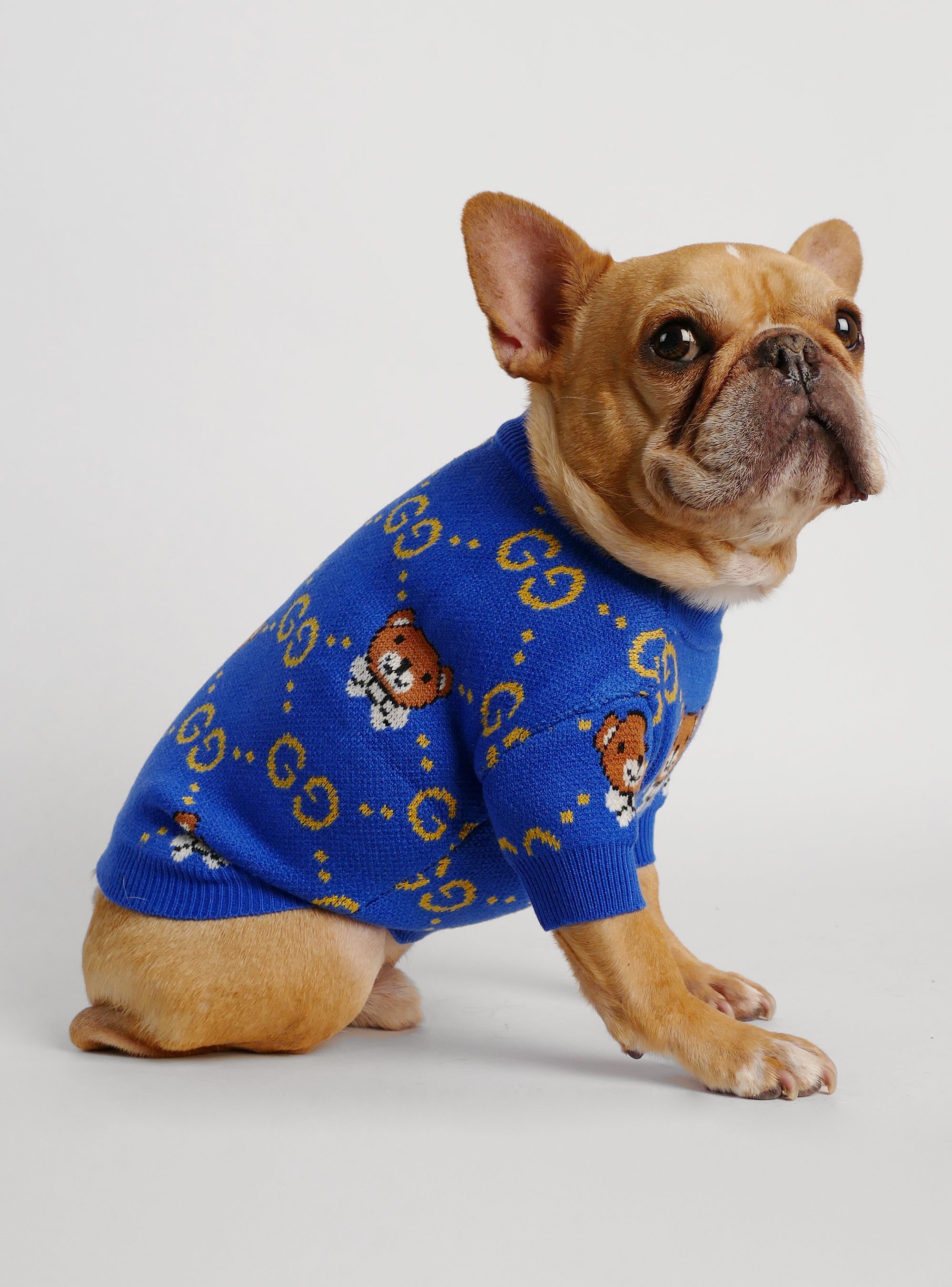 French Fried Dog Sweater - Club Huey