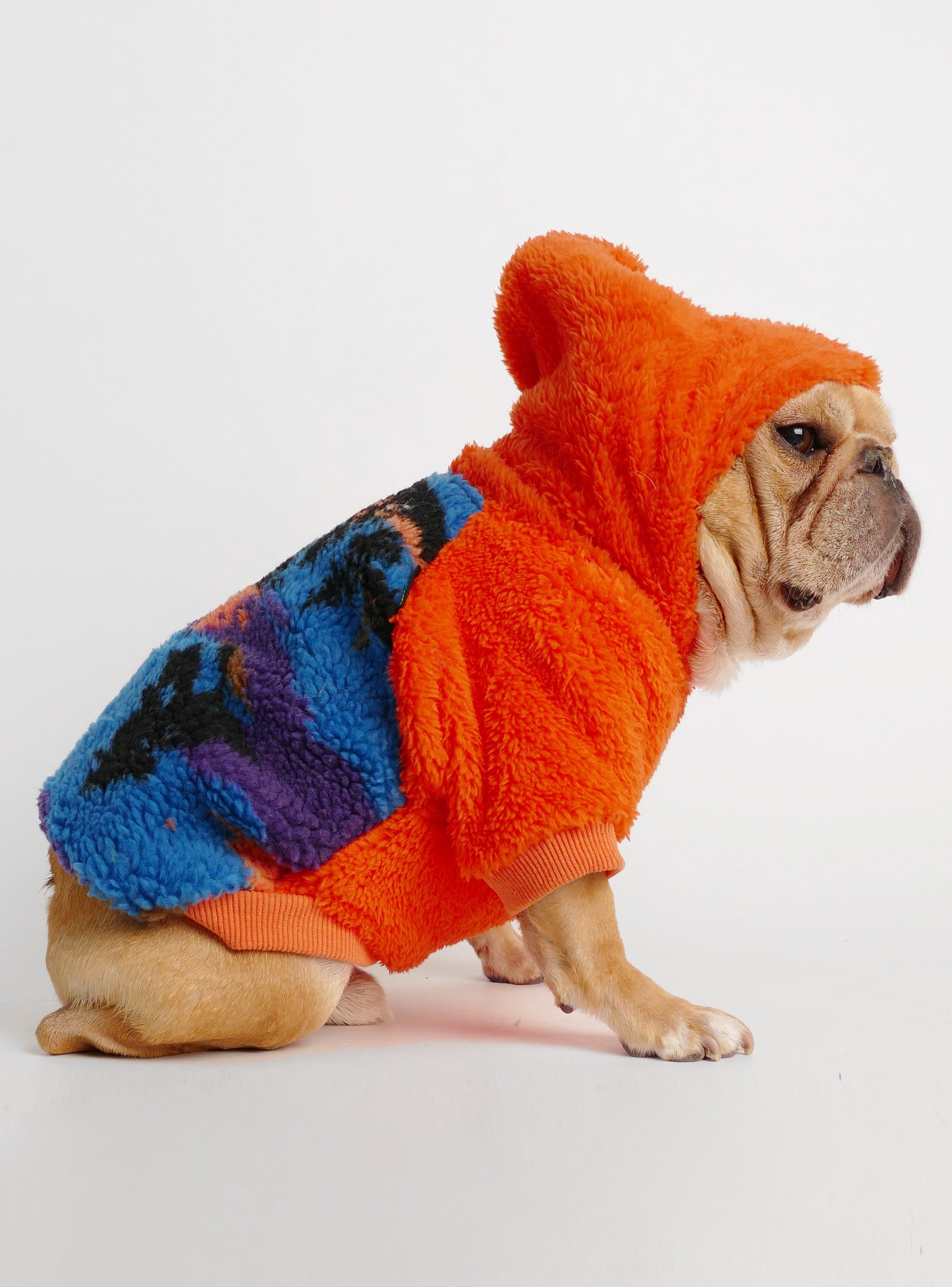 Fetch Dog Sweater - Club Huey