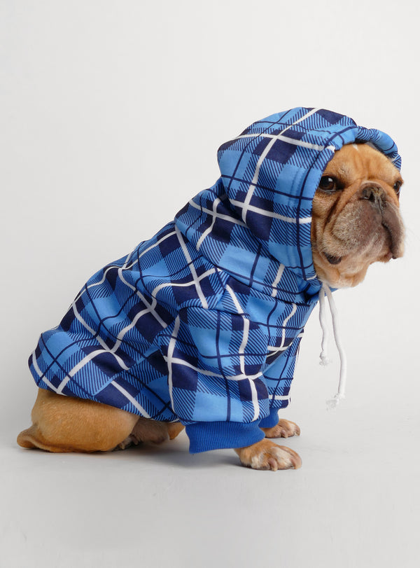 Dog Hoodies - Club Huey