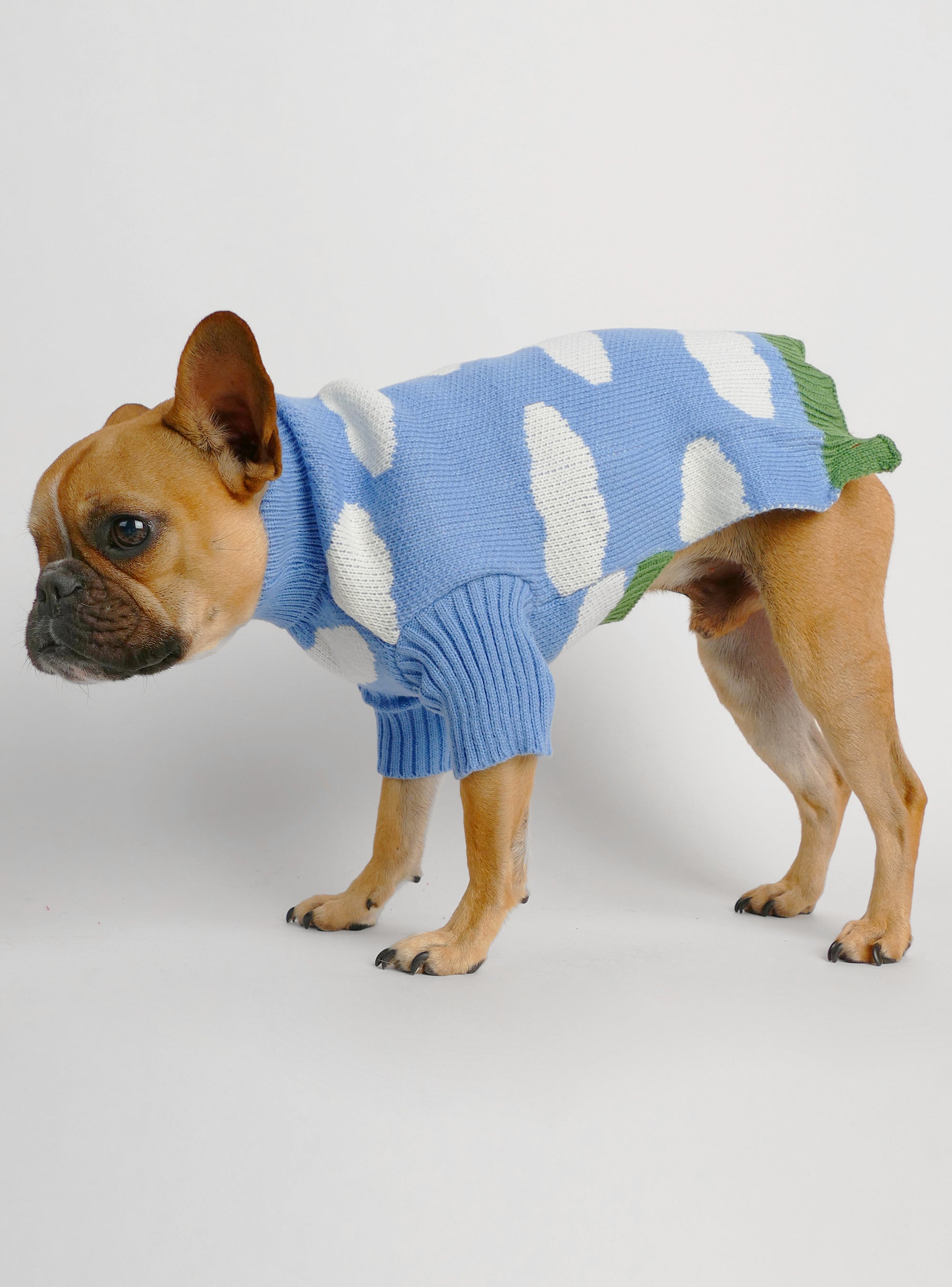 Louie Louie Dog Sweater - Club Huey