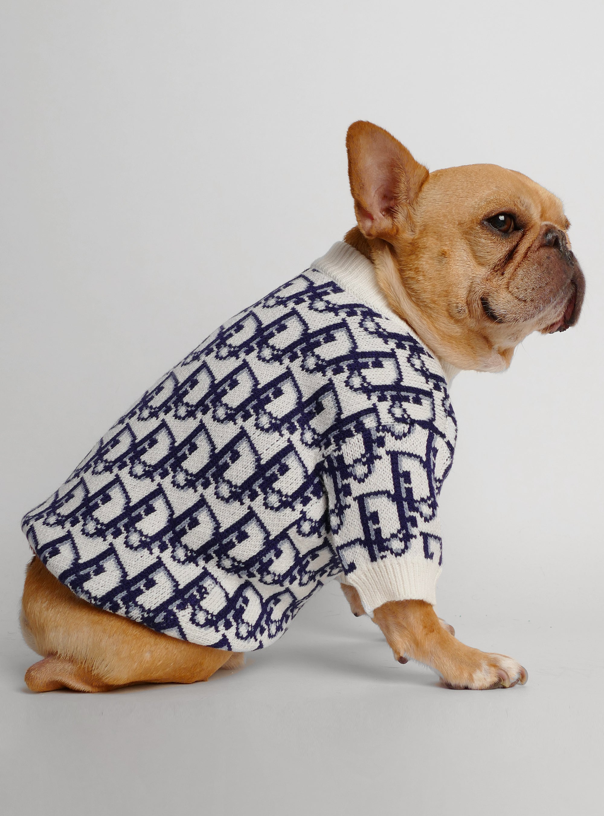 Fetch Dog Sweater - Club Huey