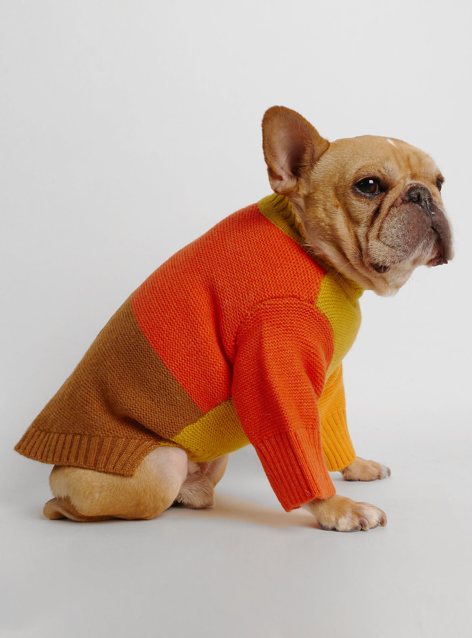 Fetch Dog Sweater - Club Huey