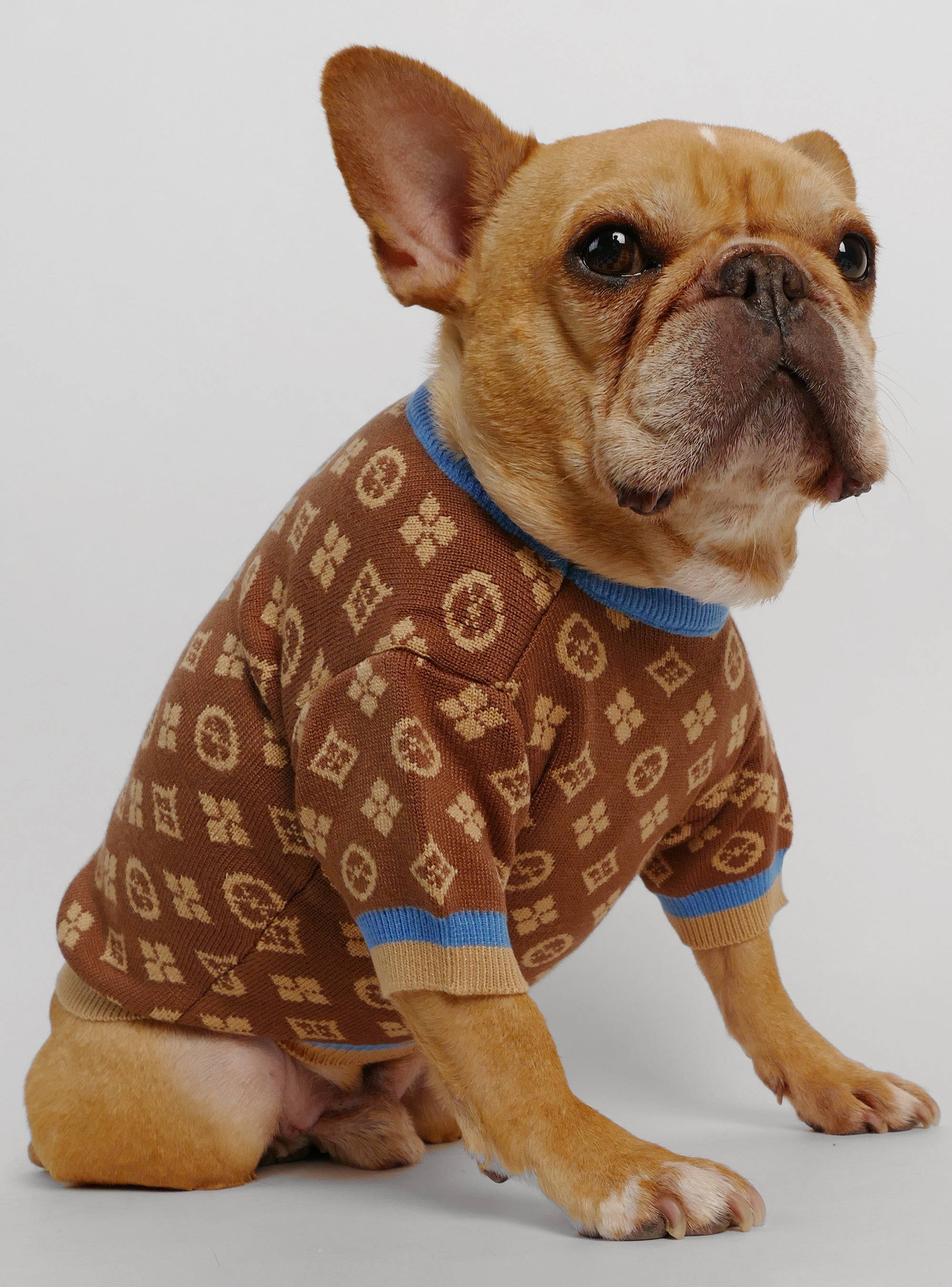 Tiggy FF Sleeve Brown Dog Sweater