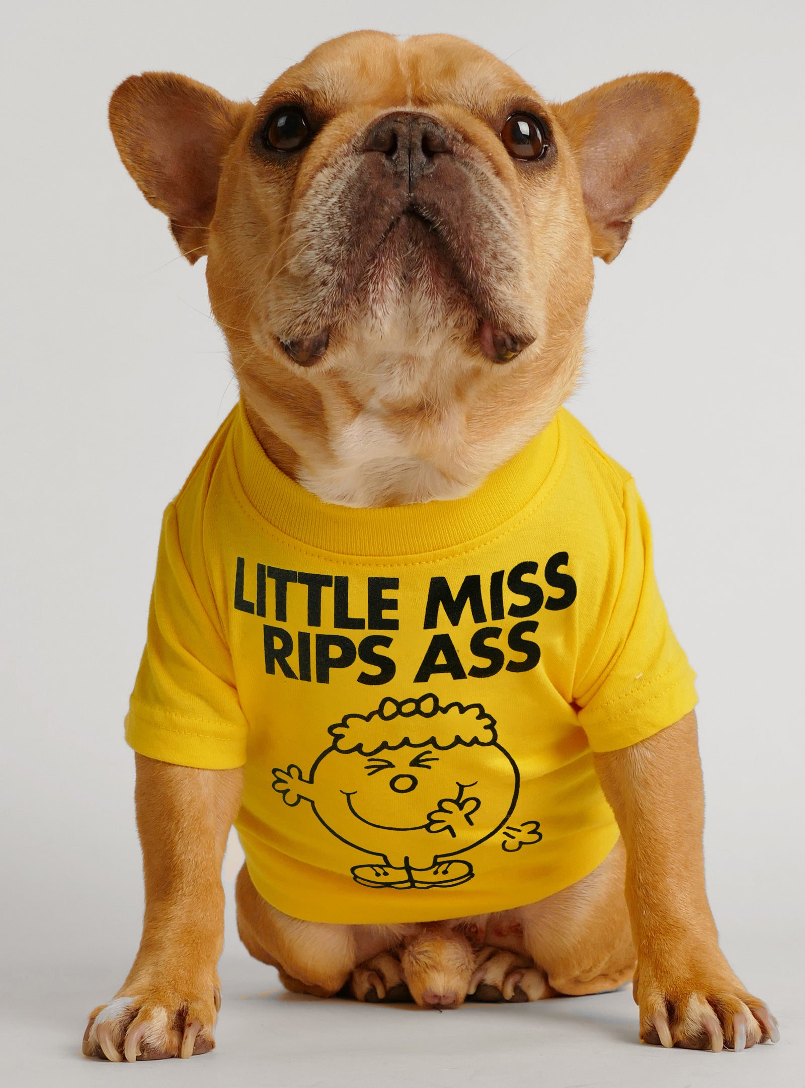 Little Miss Pees Inside Dog Tee - Club Huey