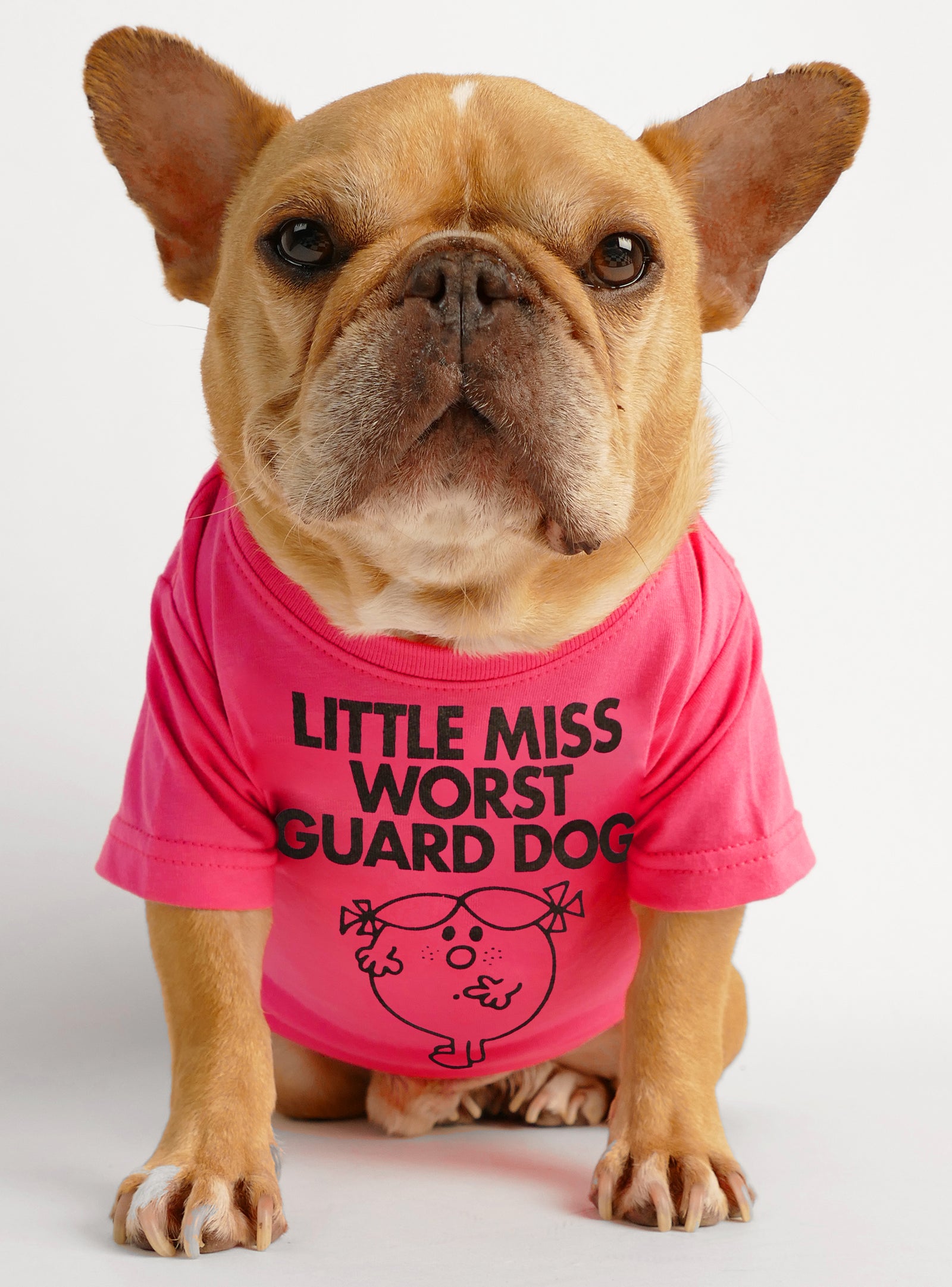 My Dog Barks for the O's Baltimore Orioles Black Tee