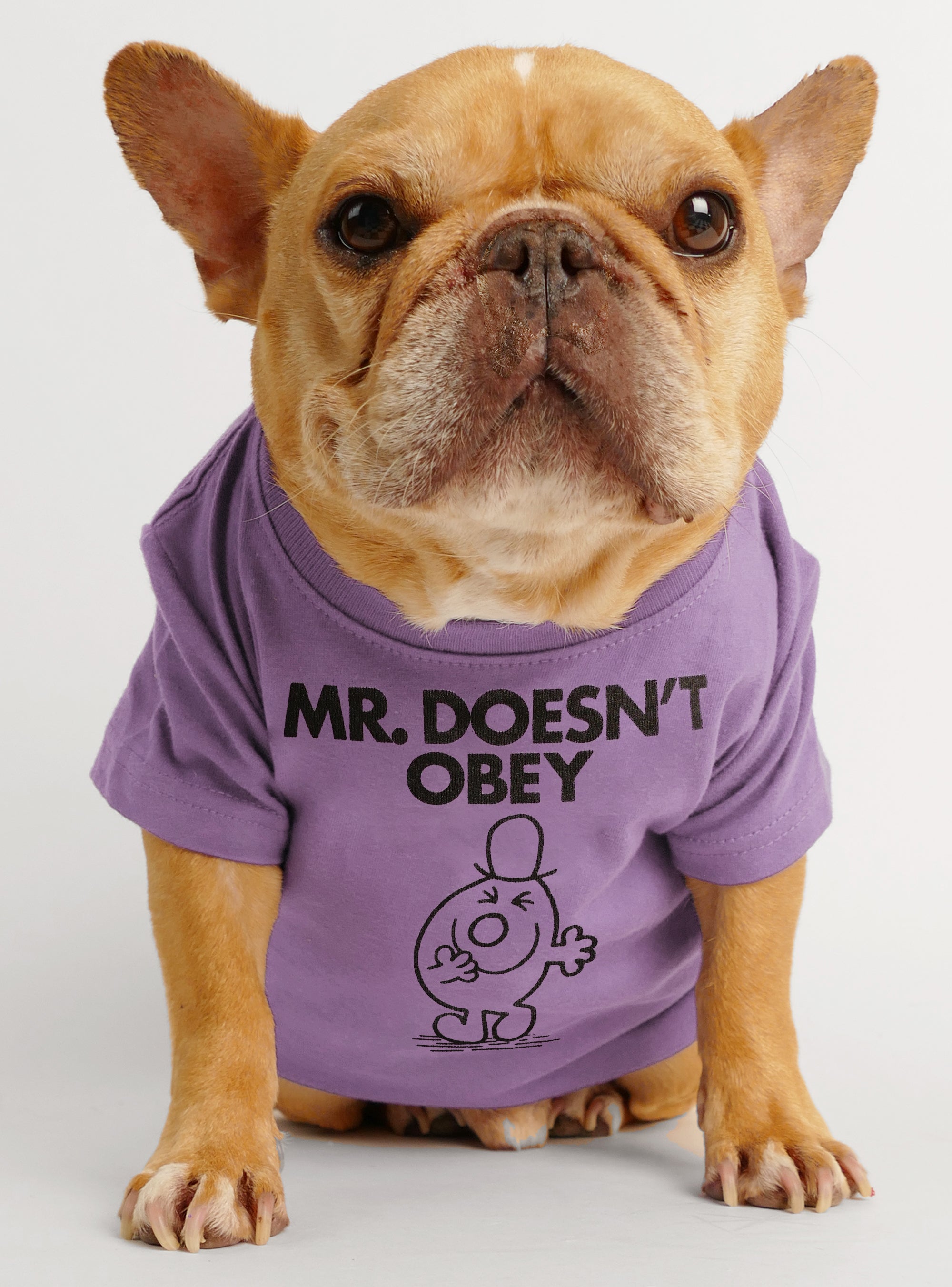 Little Miss Couldn't Care Less Dog Tee - Club Huey