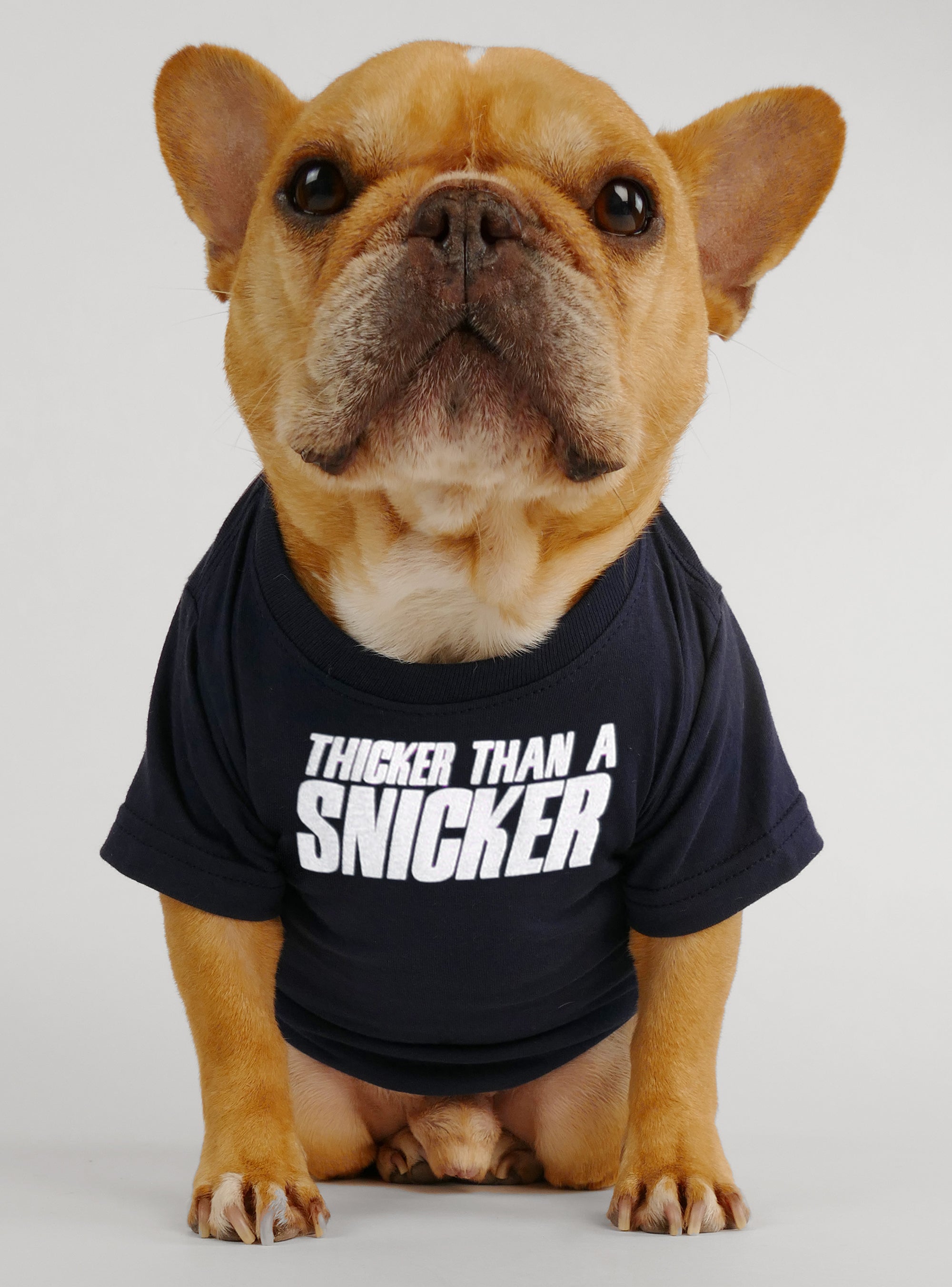 Refrigerator Raider Dog Tee - Club Huey