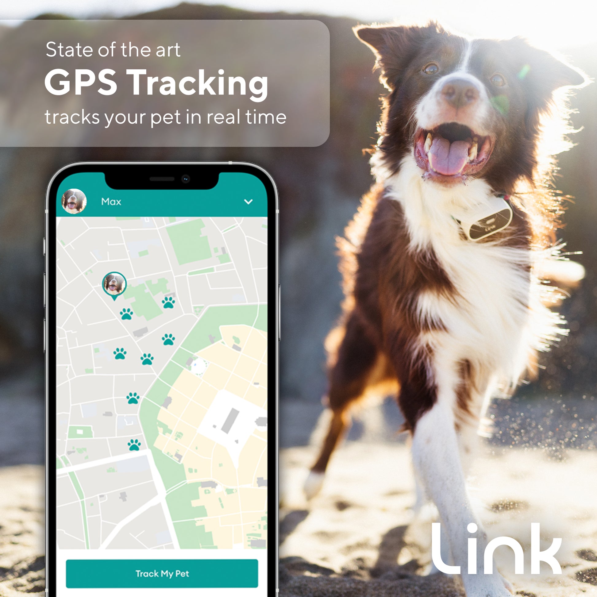 can you get a tracker for your dog