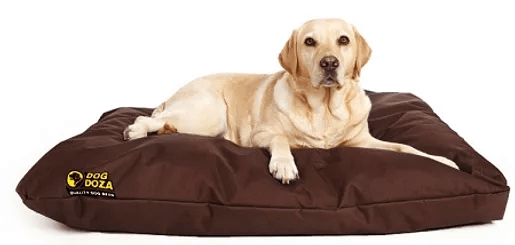 Dog Doza - Waterproof Cushion Beds 