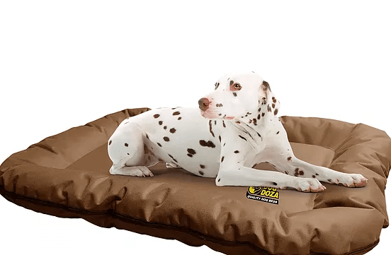 Dog Doza - Waterproof Dog Bolster Bed Mats - Zip Off Covers