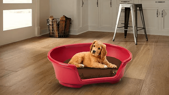 Dog Doza - Waterproof Oval Beds For Baskets