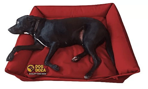 Dog Doza - Waterproof Sofa Beds - Lots More Room