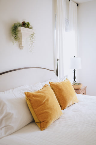 Tillandsia Air Plant Display Above a Bed