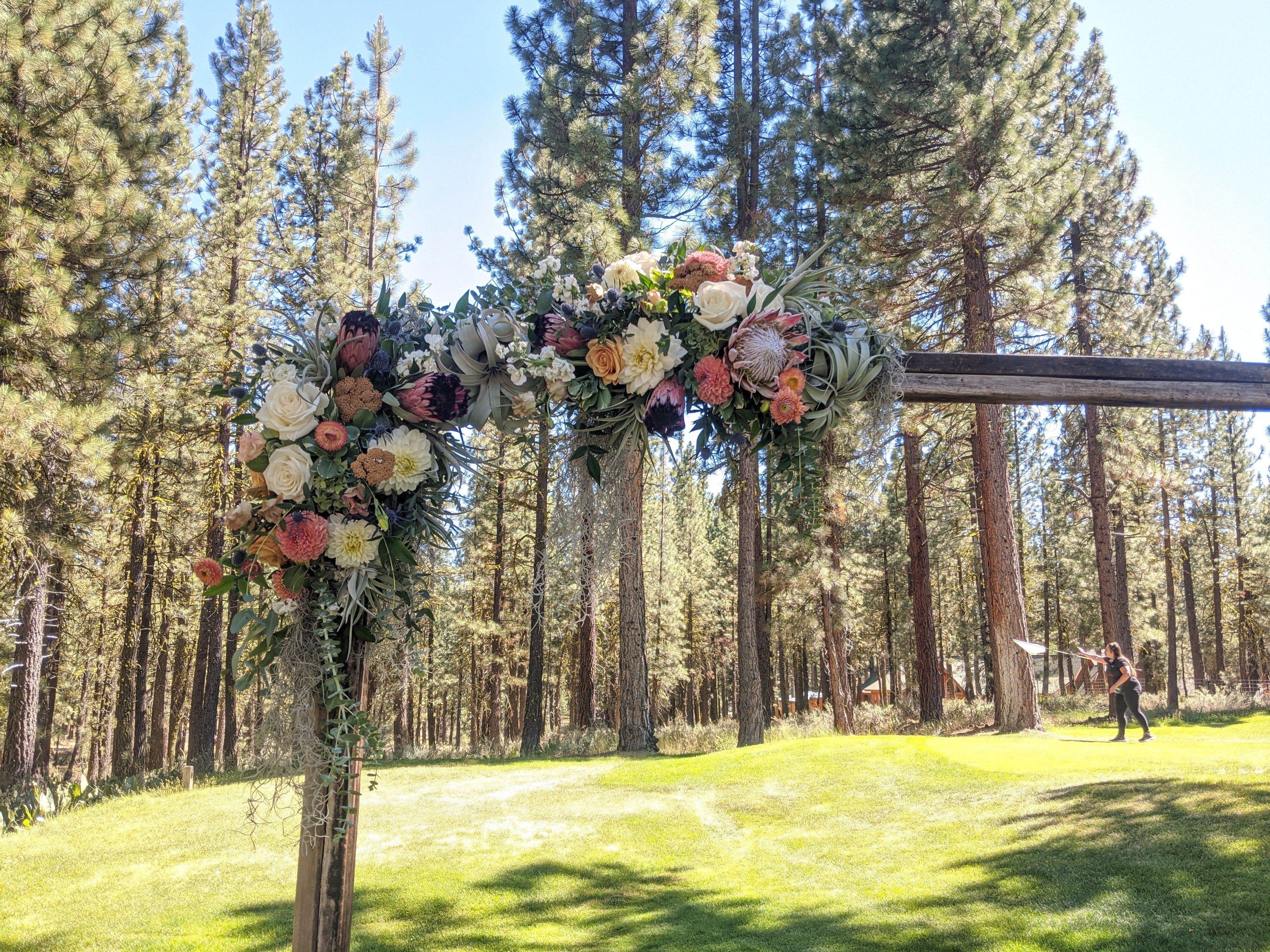 tillandsia air plant wedding arch backdrop