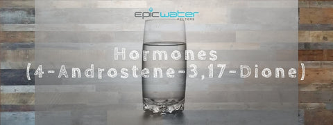 Hormones 4-Androstene-3,17-Dione water testing sex filter