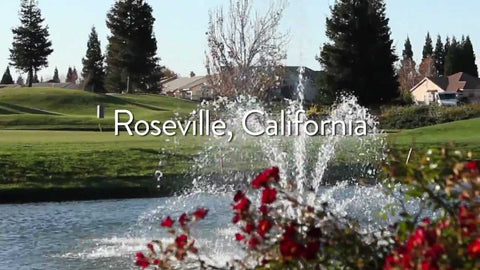 Roseville Ca Water Quality Report Lead Water Quality Chlorine PFAS Fluoride