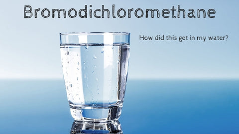 Bromodichloromethane Drinking Tap Water Is my water safe