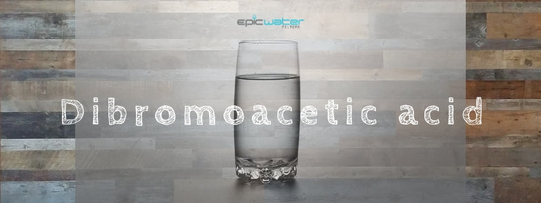 Dibromoacetic acid drinking water