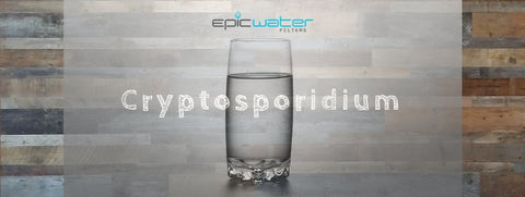 Cryptosporidium Drinking Water Tap Safe To Drink Filter