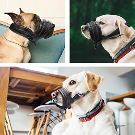 muzzle to prevent barking