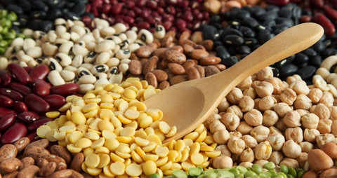 legumbres proteína de origen vegetal
