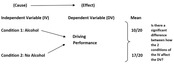 AQA A LEVEL PSYCHOLOGY IV + DV