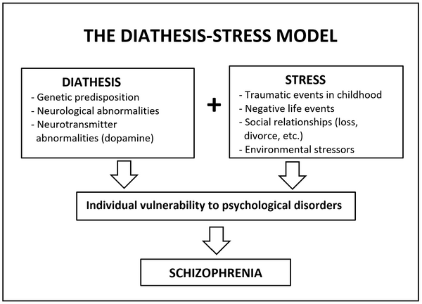 AQA A LEVEL PSYCHOLOGY SCHIZOPHRENIA DIATHESIS-STRESS