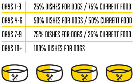 Dog Food Transition Chart