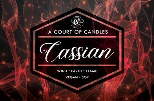 Rhysand Scented Soy Wax Candle – C & E Craft Co