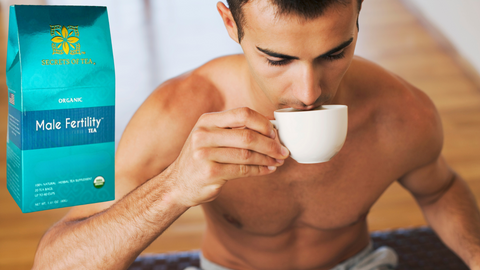 How To Increase Semen Count Naturally with Male Fertility Tea