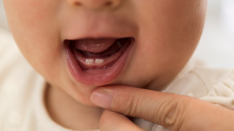 When Do Infants Start Teething? Understanding the Timeline and Easing the Process with Baby Teething Tea