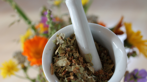 The Wonders of Valerian Herbs: A Deep Dive into Better Sleep