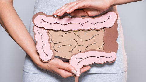 Is Colon Hydrotherapy the Key to Unlocking Your Digestive Wellness?