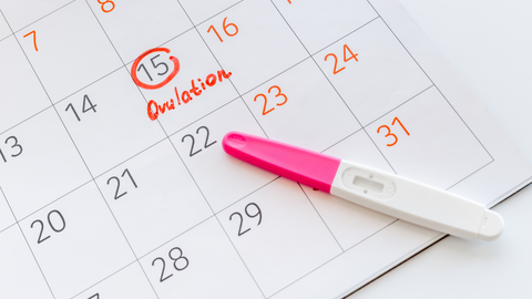 How Do You Know If You Are Ovulating?