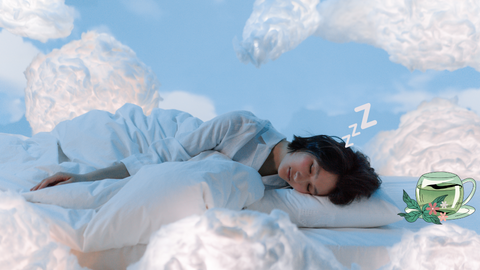 The Wonders of Valerian Herbs: A Deep Dive into Better Sleep