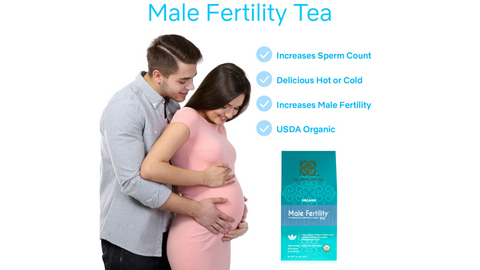 Understanding the Symptoms of Infertility in Men and the Benefits of Incorporating Male Fertility Tea