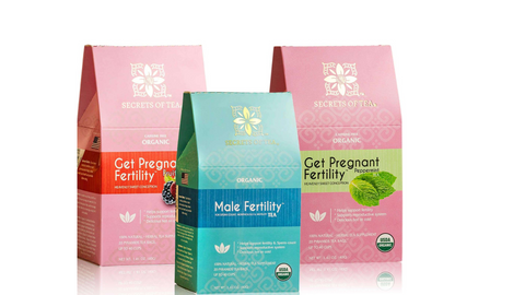 How to Prepare Your Body for Pregnancy: Embracing Wellness with Fertility Teas