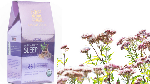 The Soothing Solution to Sleepless Nights: Discover the Magic of Valerian Sleep Tea