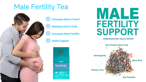 Reclaim Your Fertility: How Smoking Affects Sperm Quality and Natural Remedies to Enhance It