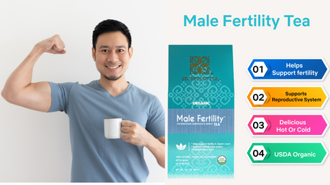 Revitalize Your Reproductive Health: Discover the Best Fertility-Boosting Foods for Males