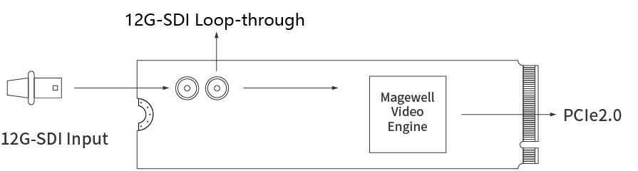 Magewell Eco Capture SDI 4K Plus M.2 Interface