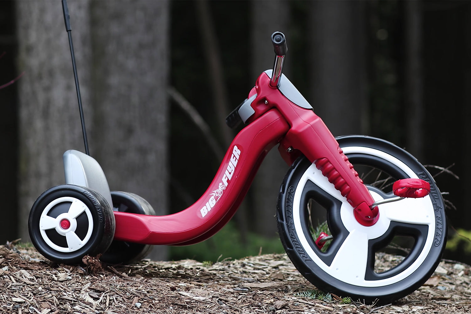 Walmart Bike