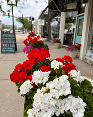 flowers at the meeting place