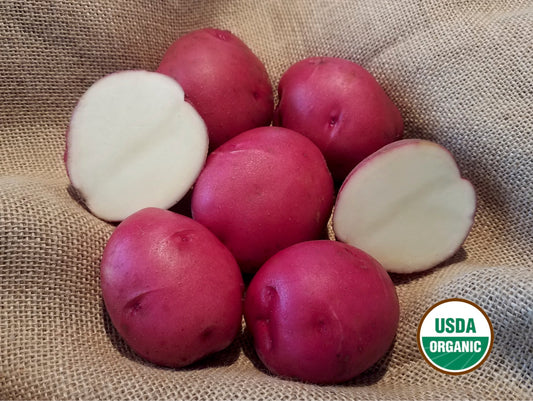 Announcing NEW! DOUBLE Certified Seed POTATOES!!