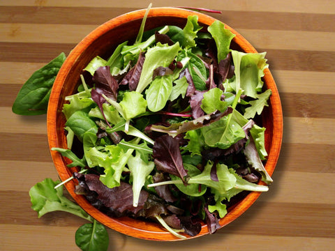 Bowl of salad greens ready to eat at Prairie Road Organic Seed