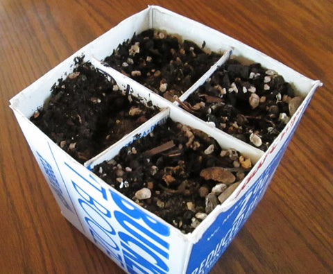 Completed upcycled milk carton seedling tray at Prairie Road Organic Seed